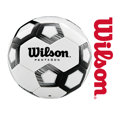Wilson Fußball