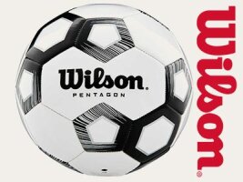 Wilson Fußball