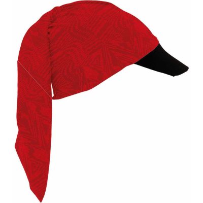 Visor