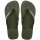 HAVAIANAS BRASIL LOGO GREEN/GREEN 43/44