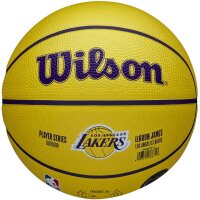 Wilson NBA PLAYER ICON MINI BSKT LEBRON NEW
