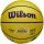 Wilson NBA PLAYER ICON MINI BSKT LEBRON NEW