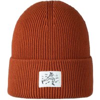 Buff® KNITTED BEANIE DRISK PARLEY POOL