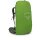 OSPREY Kestrel 38 Bonsai Green L/XL