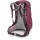OSPREY Sirrus 34 Elderberry Purple/Chiru Tan O/S