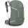 OSPREY Hikelite 28 Pine Leaf Green M/L