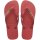 HAVAIANAS BRASIL LOGO PAU BRASIL EU: 37/38