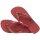 HAVAIANAS BRASIL LOGO PAU BRASIL EU: 37/38