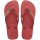 HAVAIANAS BRASIL LOGO PAU BRASIL 39/40