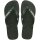 HAVAIANAS BRASIL LOGO GREEN OLIVE/GREEN OLIVE 39/40