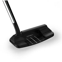 Wilson Infinite Putter Mich Ave MRH 34"