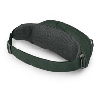 OSPREY Daylite Waist Green Belt/Green Canopy O/S