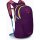 OSPREY Daylite Moody Burgundy OS