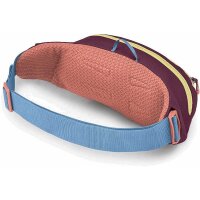 OSPREY Daylite Waist Moody Burgundy OS