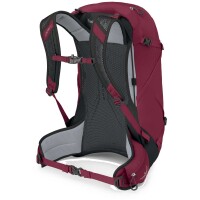 OSPREY Hikelite 28 Chameleon/Black S/M