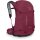 OSPREY Hikelite 28 Chameleon/Black S/M