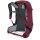 OSPREY Hikelite 28 Chameleon/Black S/M