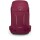 OSPREY Hikelite 28 Chameleon/Black S/M