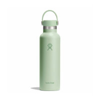 Hydro Flask 21 OZ STANDARD FLEX CAP ALOE