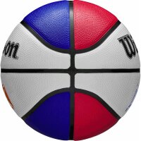 Wilson JR NBA WNBA DRV LIGHT BSKT