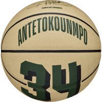 Wilson NBA PLAYER ICON MINI BSKT GIANNIS Gre