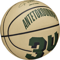 Wilson NBA PLAYER ICON MINI BSKT GIANNIS Gre