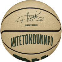 Wilson NBA PLAYER ICON MINI BSKT GIANNIS Gre