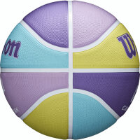 Wilson CC DREAMER BSKT SIZE 6
