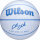 Wilson CC ENVISION BSKT SIZE 5