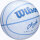 Wilson CC ENVISION BSKT SIZE 5