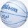 Wilson CC ENVISION BSKT SIZE 5