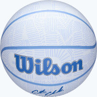 Wilson CC ENVISION BSKT SIZE 6