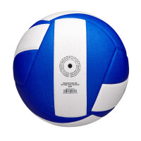 Wilson HELIX CLUB VB BLUE/WHITE