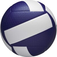 Wilson HELIX VB GAME BALL BLUE/WHITE