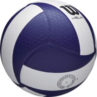 Wilson HELIX VB GAME BALL BLUE/WHITE