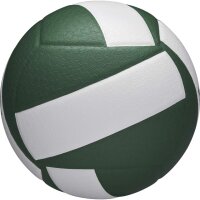 Wilson HELIX VB GAME BALL GREEN/WHITE