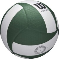 Wilson HELIX VB GAME BALL GREEN/WHITE