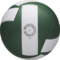 Wilson HELIX VB GAME BALL GREEN/WHITE
