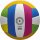 Wilson PRO TOUR VB MULTICOLOR