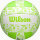 Wilson STAMP VB GREEN/WHITE