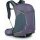 OSPREY Hikelite 28 Graphite Purple OS