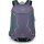 OSPREY Hikelite 28 Graphite Purple OS