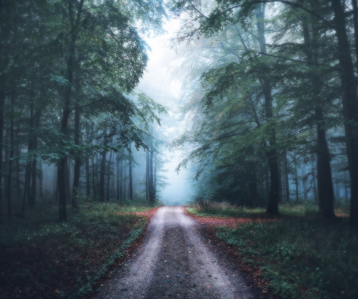 Lumos Ultra – City